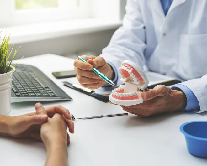 Dentist showing a patient model of teeth in the jawbone